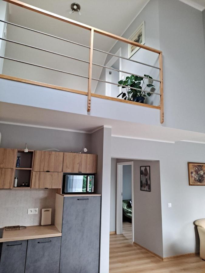 Jelonek Apartment Jelenia Gora Exterior photo